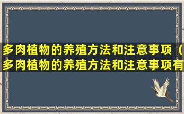 多肉植物的养殖方法和注意事项（多肉植物的养殖方法和注意事项有哪些 - 园艺知识站）